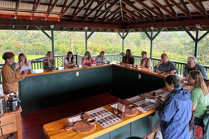 10 Bar Hawaiian Craft Chocolate Tasting Experience - From Hilo drive to Maunakea slopes: why the ride matters