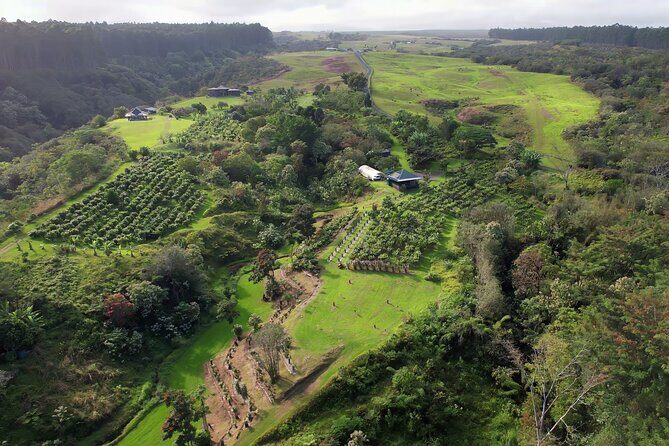 10 Bar Hawaiian Craft Chocolate Tasting Experience - Who should book this 10 Bar tasting (and who might want to skip)
