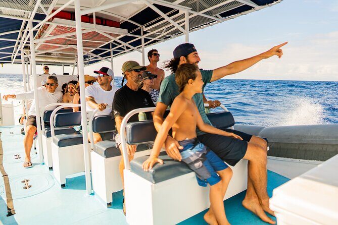 2.5-Hour Whale Watching On A 41' Super-Raft - Meeting at 75-5629 Kuakini Hwy: How to Plan Your Timing