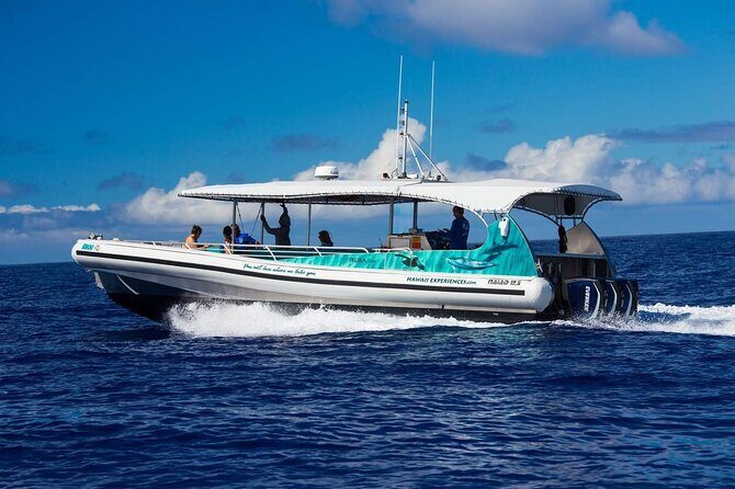 2 Hour Big Island Dolphin Watching and Sea Turtle Snorkel Tour - Key things to know before you go