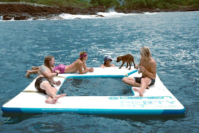 2 Hour Big Island Dolphin Watching and Sea Turtle Snorkel Tour - Stop 1 in Kailua-Kona: dolphins first, then a reef snorkel
