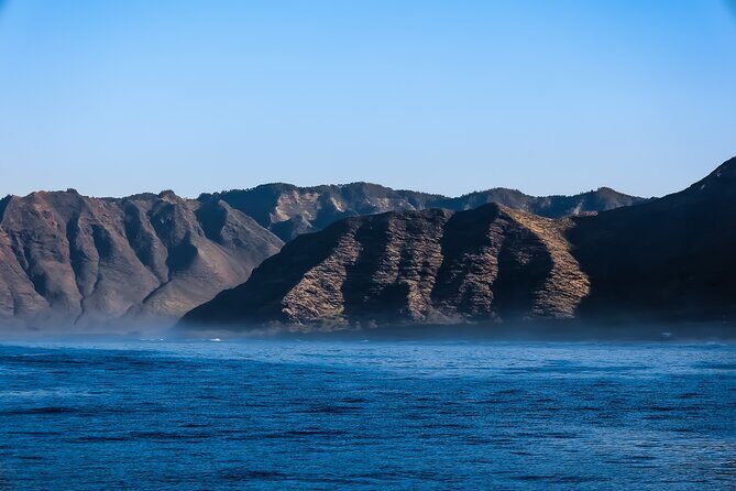 2 Hour Big Island Dolphin Watching and Sea Turtle Snorkel Tour - What to expect during the experience window