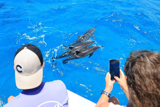 2 Hour Big Island Dolphin Watching and Sea Turtle Snorkel Tour - Capt Mitch and Tamae: the crew’s friendly, in-water help