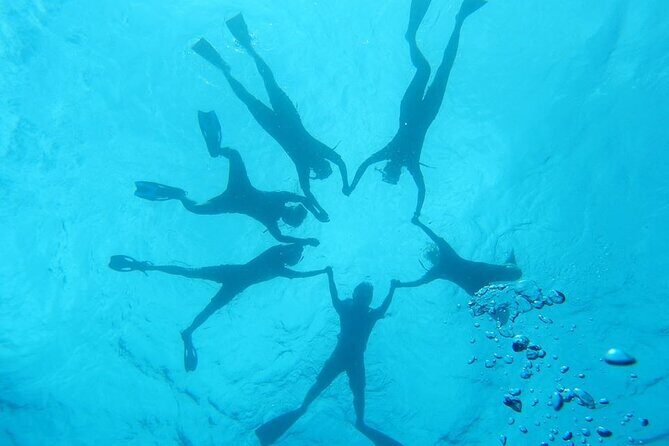 2-Hour Dolphin Watching and Double Reef with Snorkel in Hawaii - Small Group Logistics: Why It Matters on a Boat