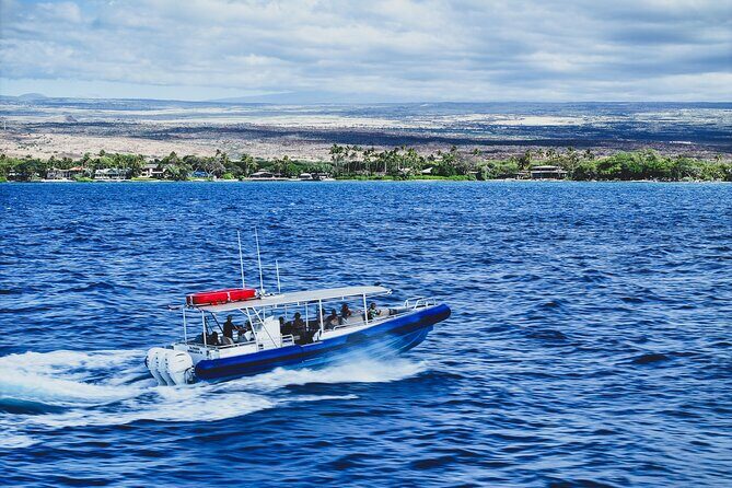 2-Hour Mauna Kea One Stop Sealife Snorkel Adventure - Snorkeling support and clean gear: the difference between fun and frustration