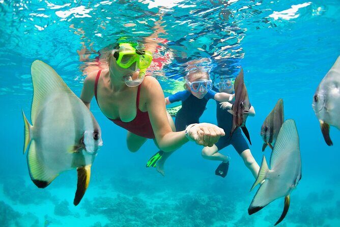 2-Hour Mauna Kea One Stop Sealife Snorkel Adventure - Price and value: is $119 fair for 2 hours?