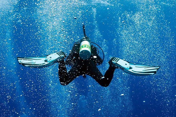 2 Tank Shore Dive at Sea Turtle Cove - A 2-Tank Shore Session in Hilo: What You’re Really Paying For