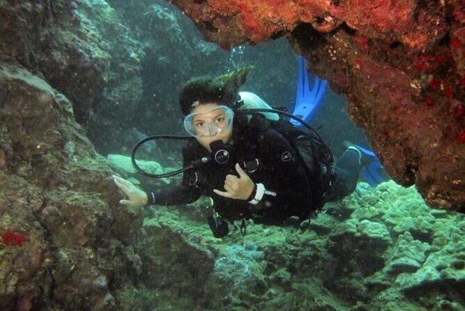 2 Tank Shore Dive at Sea Turtle Cove - Sea Turtle Cove Chances: Reefs, Fish, and Green Sea Turtles