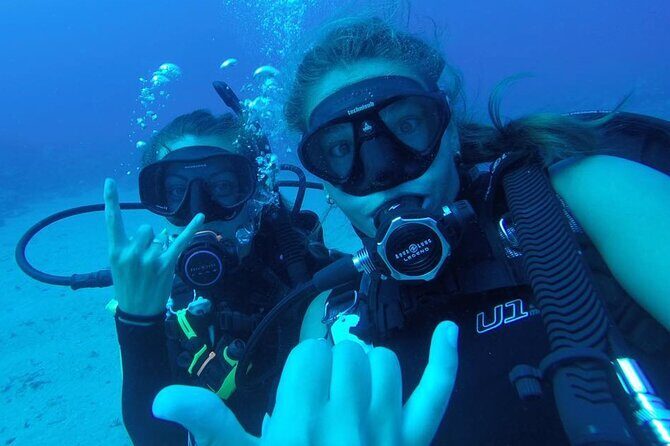 2 Tank Shore Dive at Sea Turtle Cove - Gear, Weights, Snacks, and the Small-Group Advantage