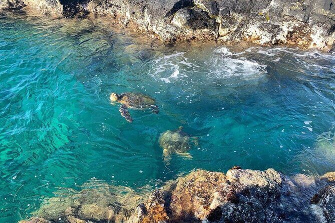 2 Tank Shore Dive at Sea Turtle Cove - Cancellation, Weather Dependence, and Day-of Reality