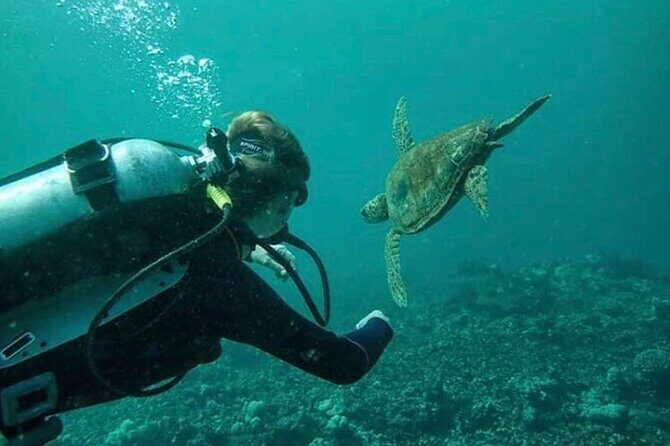 2 Tank Shore Dive at Sea Turtle Cove - Underwater Time, Timing, and What the Two-Tank Plan Means