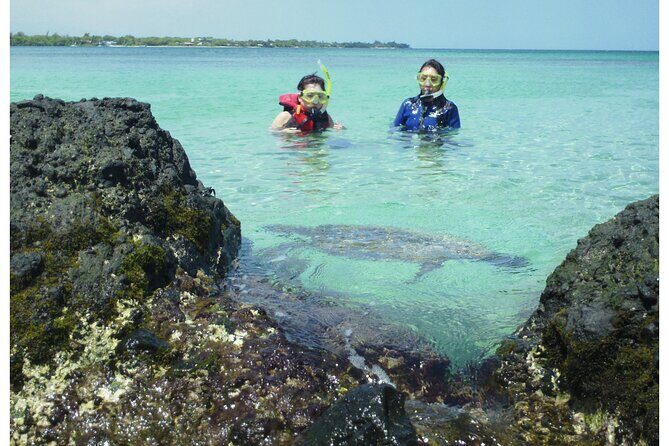 3.5 Hour Kailua-Kona Ocean Kayak and Snorkel Tour - Why 6:50am on the Big Island Feels Like a Cheat Code