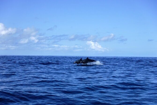 3.5 Hour Kailua-Kona Ocean Kayak and Snorkel Tour - Two Reef Stops: How Snorkeling Actually Plays Out