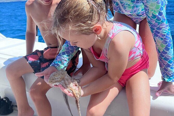3-Hour Luxury Private Custom Charter - Snorkeling stops: more than getting wet