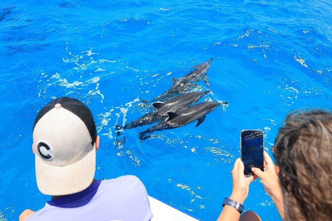 4 Hour Big Island Dolphin Watch Boat Tour, Snorkeling & BBQ Lunch - Stop 2 and Stop 3 Rhythm: How Kona and the Island of Hawaii Stops Shape Your Day