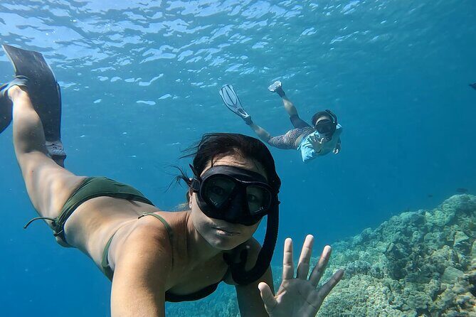 4-Hour Private Charter Adventures in Kona Coast - Timing: when to book for smoother odds