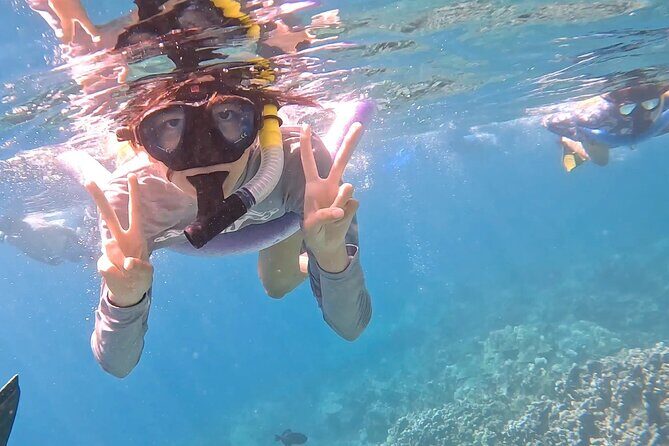 4-Hour Private Charter Adventures in Kona Coast - What you can do in 4 hours: snorkeling, dolphins, whales, and black shore