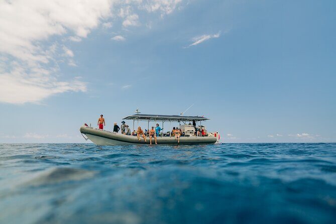 4 Hour Super-Raft Snorkeling Experience in Kailua-Kona - Marine life expectations: dolphins, whales, turtles, and possible reef sharks