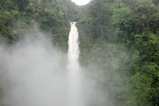 5 Hour Custom Private Tour of Hawaii - From Hilo Hotel or Port Pickup to the First Views