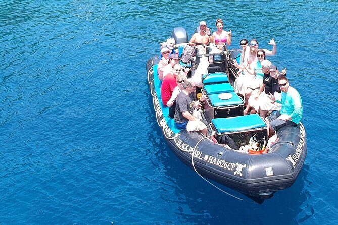 5-Hour Kona Private Boat Charter - Wildlife spotting depends on timing and how you look