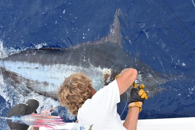 6 Hour Fishing Charter - Quick hits