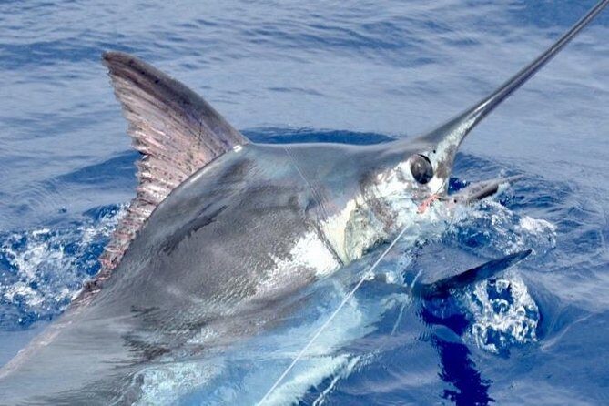 6 Hour Fishing Charter - Meeting the Crew: Professional, Mellow, and Quick to Respond