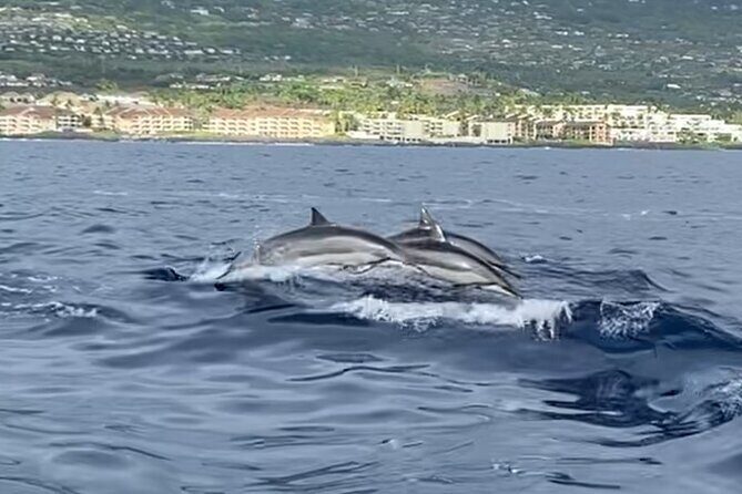 6 Hour Private Charter in Kona - How Ocean Blue Kona customizes your 5-hour charter day