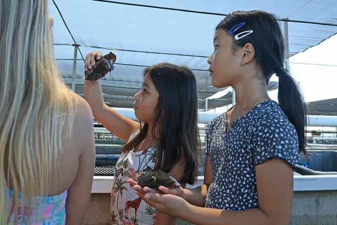 Abalone Farm Tour - A working abalone farm makes sustainability feel real
