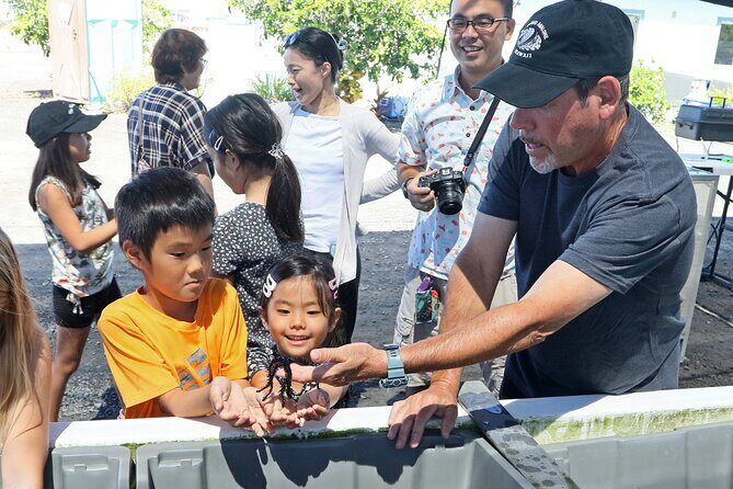 Abalone Farm Tour - Seaweed farming and the included seaweed tastings