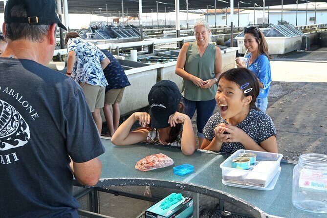 Abalone Farm Tour - What you actually eat: the abalone tasting at the end