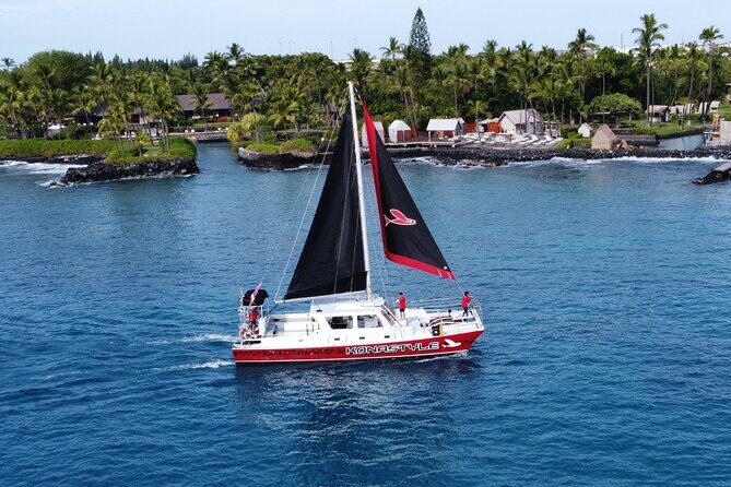 Afternoon Ali'i Adventure - Snorkeling in Kona: Why the Rotating Sites Are the Point