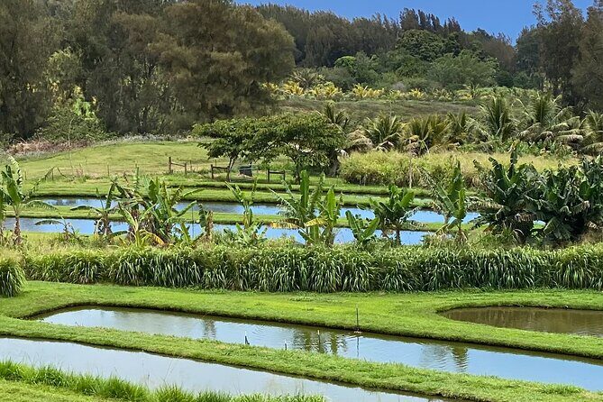 ATV Ranch ride Big Island Hawaii - Animals, Water, and Ranch Details That Make the Route Feel Alive
