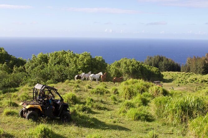 ATV Ranch ride Big Island Hawaii - ATV Pace, Terrain, and What to Wear for the Dust