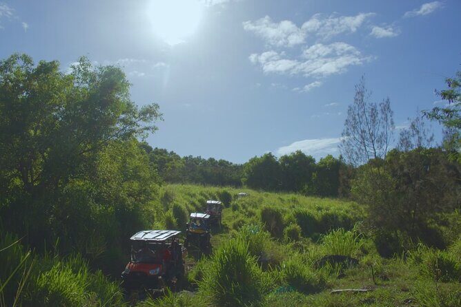 ATV Ranch ride Big Island Hawaii - Price and Value: Is $169 Worth a 2.5-Hour Ranch Ride?