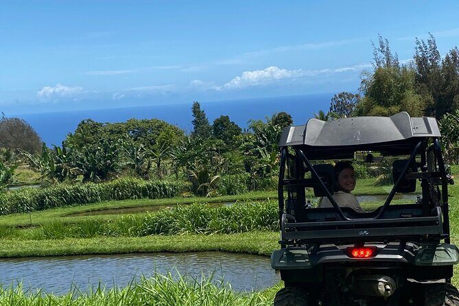 ATV Ranch ride Big Island Hawaii - The WOH Ranch Drive: Ahupua’a to Fishponds to a Coastline Break