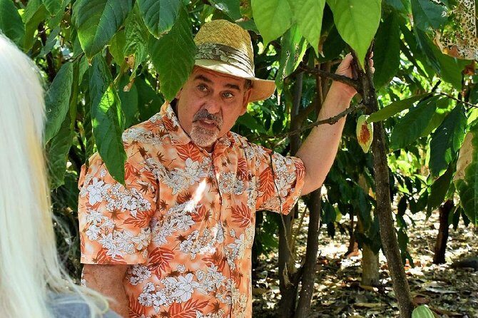 Award Winning Farm Tour: Coffee, Chocolate and Unique Gifts - The Walking Portion: Coffee, Cacao, and Biodiversity in Plain English