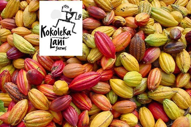 Award Winning Farm Tour: Coffee, Chocolate and Unique Gifts - Meet the Farm Team: Greg Colden’s Hosting Style
