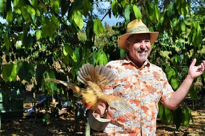 Award Winning Farm Tour: Coffee, Chocolate and Unique Gifts - Shopping for Unique Homemade Gifts: What to Look For