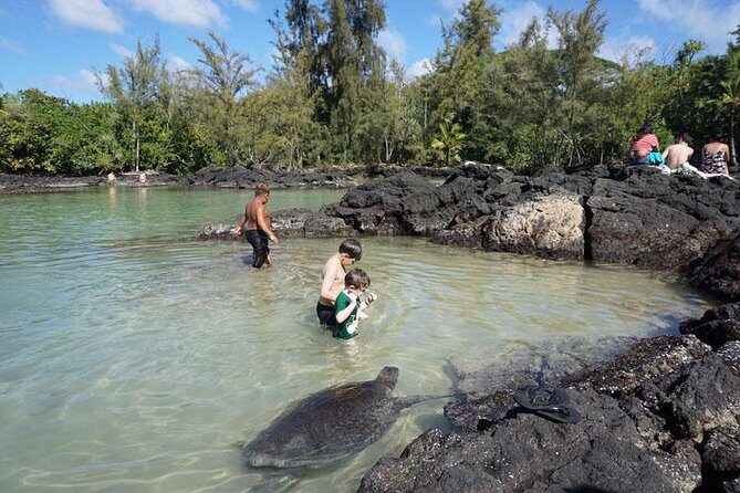 Beach Snorkel - Sea Turtle and Black Sand Lagoon - Who Should Book This Turtle and Black Sand Snorkel Tour?