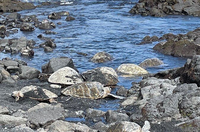 Best of Big Island: Volcanoes, Waterfall, Blacksand Beach & Lunch - Price and value: what $185 buys you (and when it feels worth it)