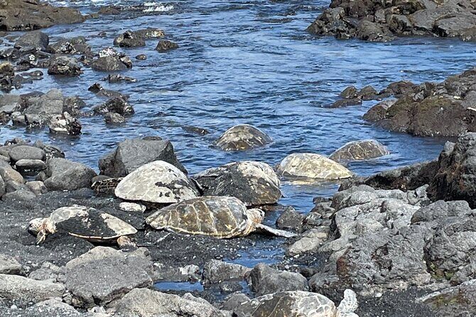 Best of Big Island: Volcanoes, Waterfall, Blacksand Beach & Lunch - How the guides shape the day (and why that can matter more than you think)