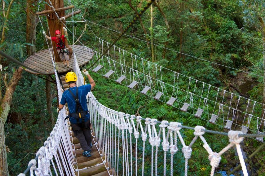 Big Island: 3-Hour Kohala Canopy Zipline Adventure - On-course pacing: water breaks and your moment to breathe