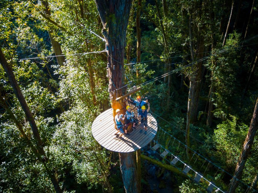 Big Island: 3-Hour Kohala Canopy Zipline Adventure - Transfers, timing, and what to plan around
