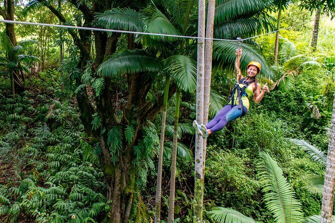 Big Island: 8-Zipline & Suspension Bridge Waterfall Adventure - Key points to know before you go