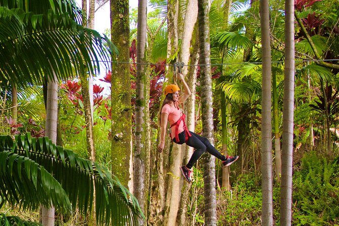 Big Island: 8-Zipline & Suspension Bridge Waterfall Adventure - The Suspension Bridge Moment and the Kamaee Falls Finale