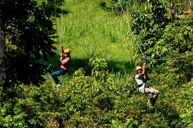 Big Island: 8-Zipline & Suspension Bridge Waterfall Adventure - Exploring the Grounds After You Fly: Gardens, Rainforest Trail, and the Living Maze
