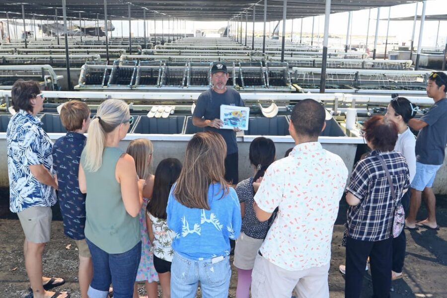 Big Island: Abalone Farm Guided Tour with Tasting - The Farm Story: Deep-Water Research, Organic Methods, and How Abalone Fit In