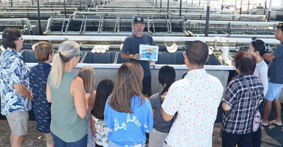 Big Island: Abalone Farm Guided Tour with Tasting - Getting Oriented at 73-357 Makako Bay Dr (and What the Hour Actually Means)