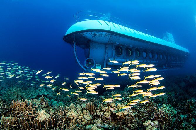 Big Island: Atlantis Submarine from Kona Beach - The Atlantis Submarine Experience on Kona’s West Coast