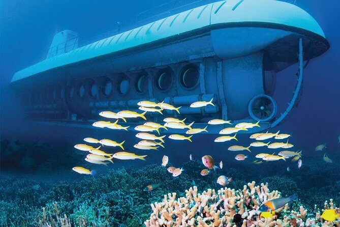 Big Island: Atlantis Submarine from Kona Beach - English Onboard, Plus Multilingual Headsets When You Want Them